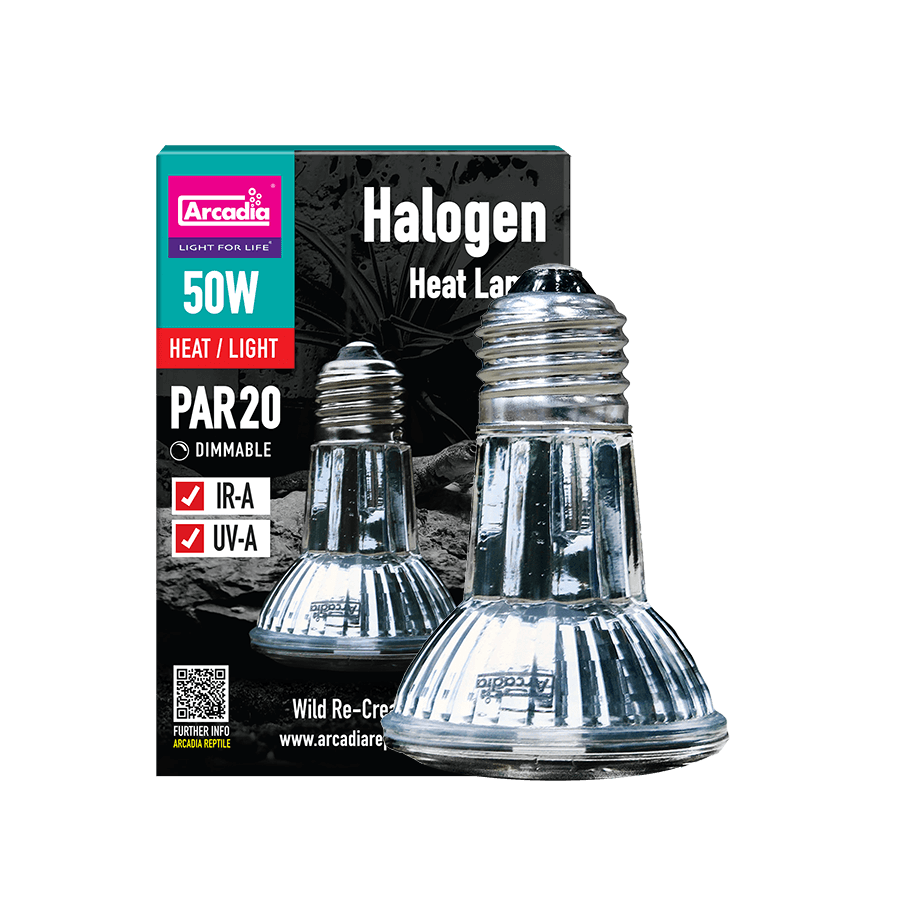 Ampoule halogène par20 50w